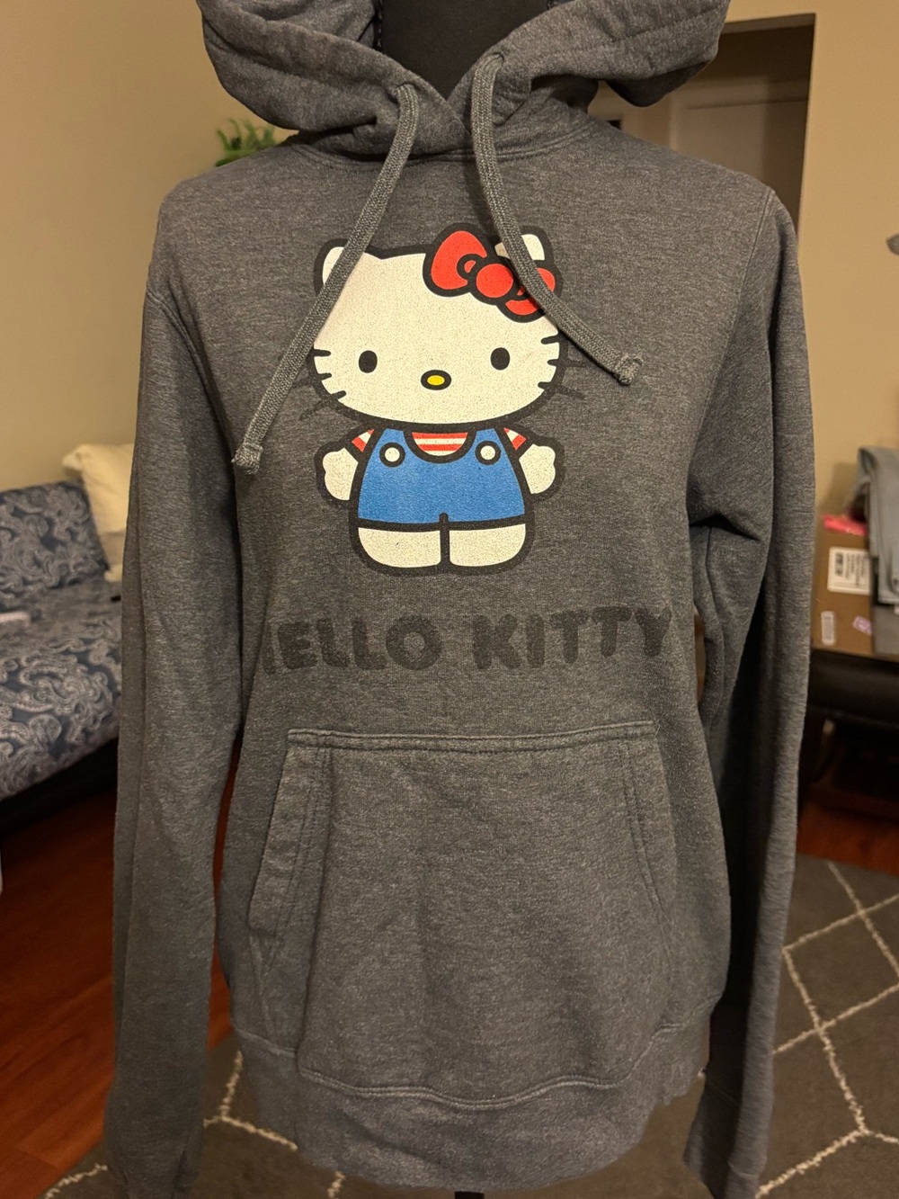 Hello Kitty Gray Hoodie with Colorful Character Graphic